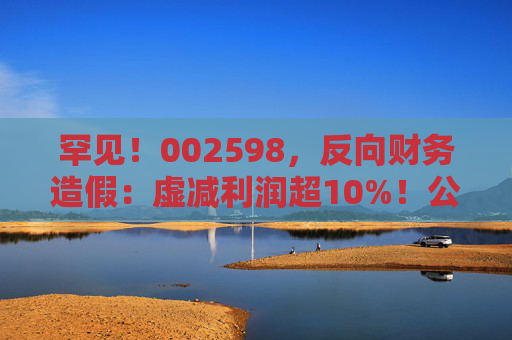 罕见！002598，反向财务造假：虚减利润超10%！公司及时任董事长、总经理等合计拟被罚690万元，下周被“ST”