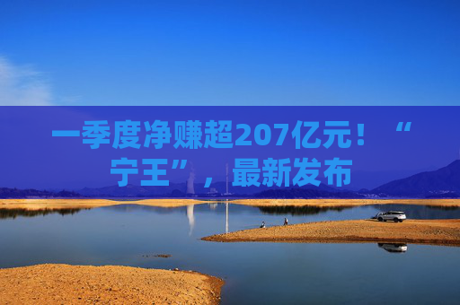 一季度净赚超207亿元！“宁王”，最新发布