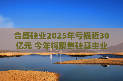 合盛硅业2025年亏损近30亿元 今年将聚焦硅基主业、适度收缩光伏业务投入