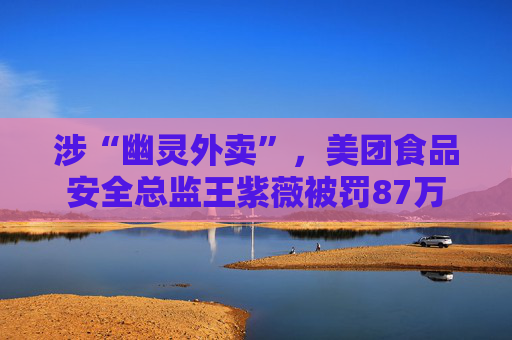 涉“幽灵外卖”，美团食品安全总监王紫薇被罚87万  第1张