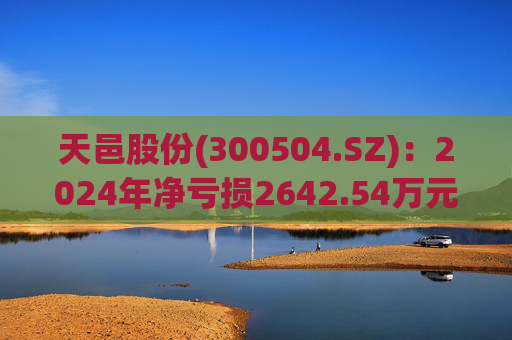 天邑股份(300504.SZ)：2024年净亏损2642.54万元
