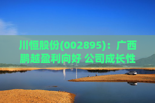 川恒股份(002895):广西鹏越盈利向好 公司成长性持续兑现 第1张 川恒股份(002895):广西鹏越盈利向好 公司成长性持续兑现 第1张