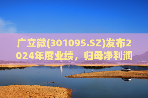 广立微(301095.SZ)发布2024年度业绩，归母净利润8026.85万元，下降37.68%