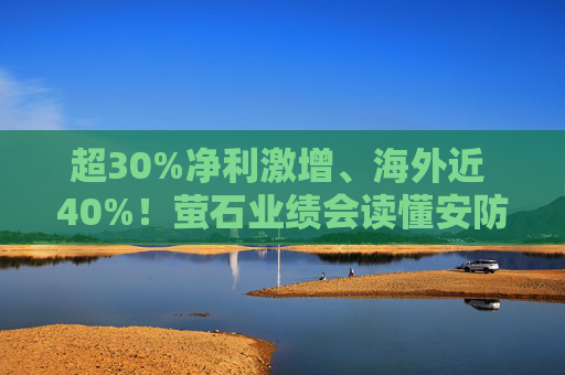 超30%净利激增、海外近 40%！萤石业绩会读懂安防 C 端新趋势