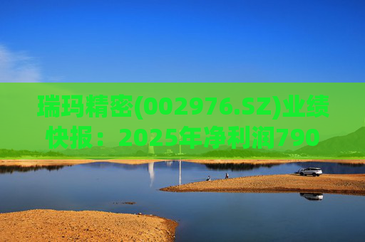 瑞玛精密(002976.SZ)业绩快报：2025年净利润790.08万元