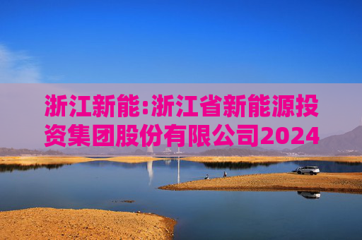 浙江新能:浙江省新能源投资集团股份有限公司2024年度内部控制评价报告
