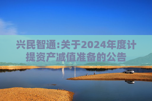 兴民智通:关于2024年度计提资产减值准备的公告