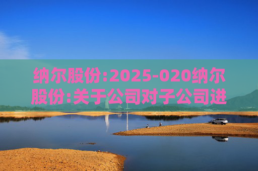 纳尔股份:2025-020纳尔股份:关于公司对子公司进行增资并对子公司实施股权激励暨关联交易的公告