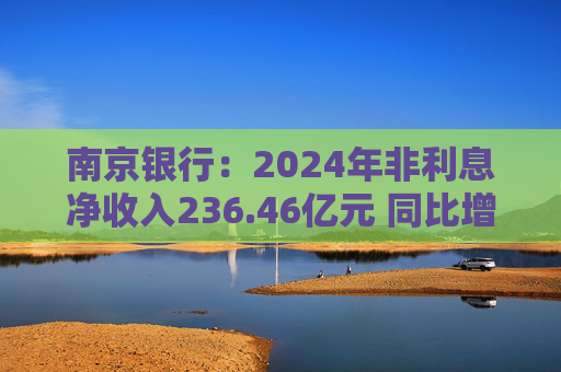 南京银行：2024年非利息净收入236.46亿元 同比增长19.98%