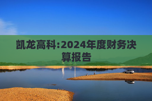 凯龙高科:2024年度财务决算报告