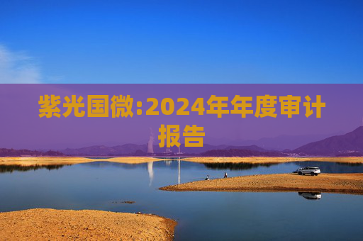 紫光国微:2024年年度审计报告