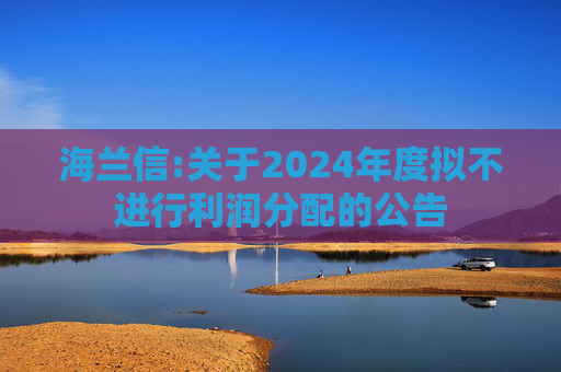 海兰信:关于2024年度拟不进行利润分配的公告