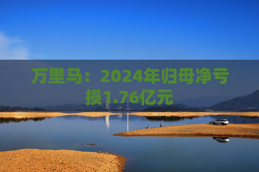 万里马：2024年归母净亏损1.76亿元