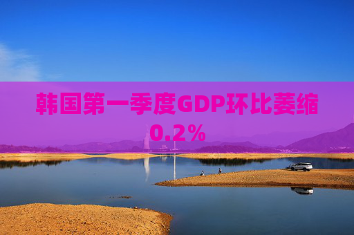 韩国第一季度GDP环比萎缩0.2%