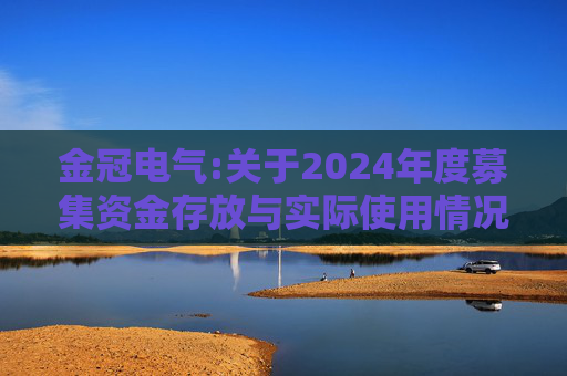 金冠电气:关于2024年度募集资金存放与实际使用情况的专项报告