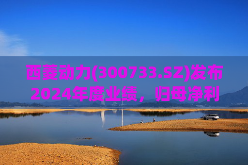 西菱动力(300733.SZ)发布2024年度业绩，归母净利润5061.41万元，扭亏为盈