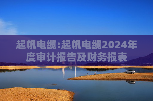起帆电缆:起帆电缆2024年度审计报告及财务报表
