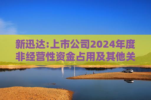 新迅达:上市公司2024年度非经营性资金占用及其他关联资金往来情况汇总表