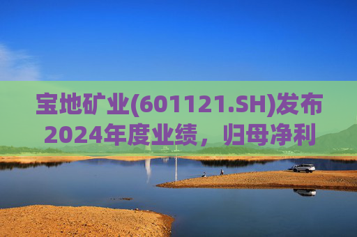 宝地矿业(601121.SH)发布2024年度业绩,归母净利润1.38亿元,同比下降25.89%