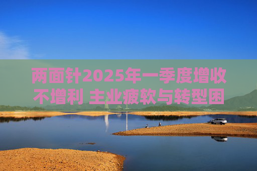 两面针2025年一季度增收不增利 主业疲软与转型困境下亏损放大