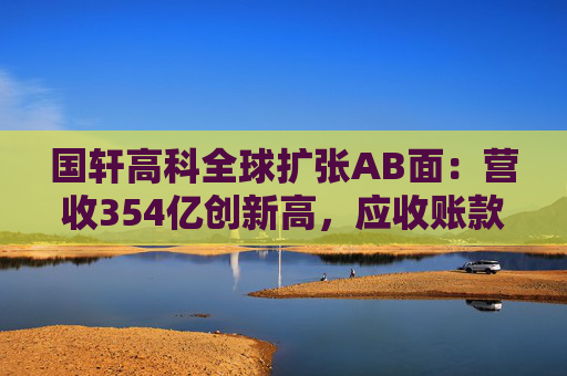 国轩高科全球扩张AB面：营收354亿创新高，应收账款189亿存隐忧  第1张