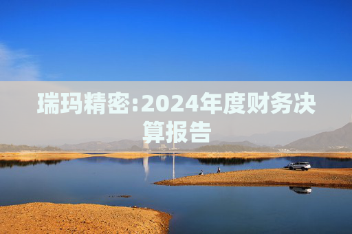 瑞玛精密:2024年度财务决算报告