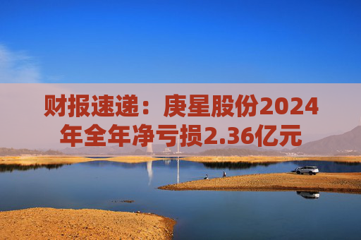 财报速递：庚星股份2024年全年净亏损2.36亿元