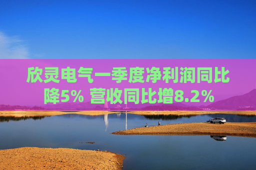 欣灵电气一季度净利润同比降5% 营收同比增8.2%