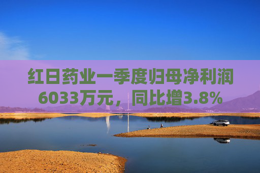 红日药业一季度归母净利润6033万元，同比增3.8%