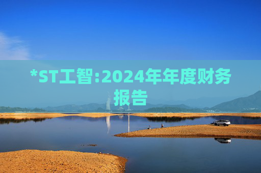 *ST工智:2024年年度财务报告