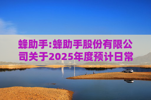 蜂助手:蜂助手股份有限公司关于2025年度预计日常关联交易额度的公告
