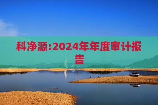 科净源:2024年年度审计报告