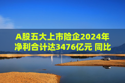 A股五大上市险企2024年净利合计达3476亿元 同比增长近八成