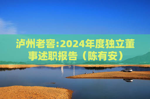 泸州老窖:2024年度独立董事述职报告（陈有安）