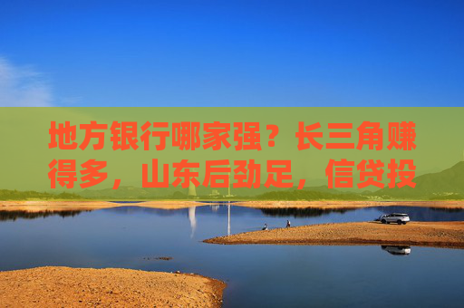 地方银行哪家强？长三角赚得多，山东后劲足，信贷投放有何侧重