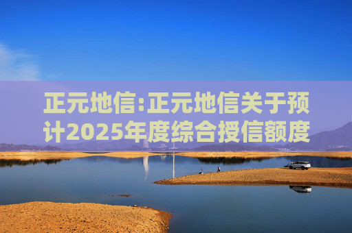 正元地信:正元地信关于预计2025年度综合授信额度及为子公司授信提供担保的公告  第1张