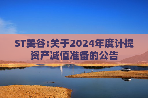 ST美谷:关于2024年度计提资产减值准备的公告