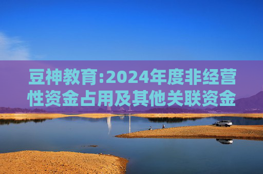 豆神教育:2024年度非经营性资金占用及其他关联资金往来情况汇总表