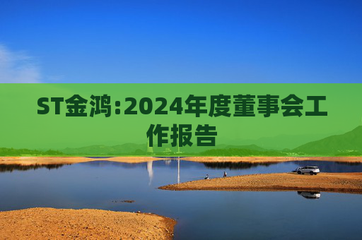 ST金鸿:2024年度董事会工作报告
