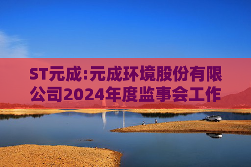 ST元成:元成环境股份有限公司2024年度监事会工作报告