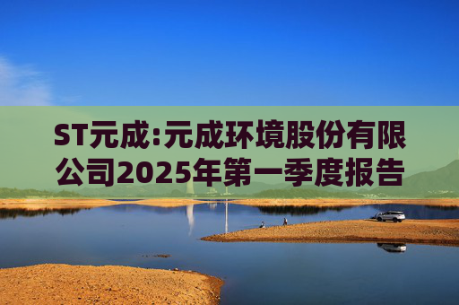 ST元成:元成环境股份有限公司2025年第一季度报告