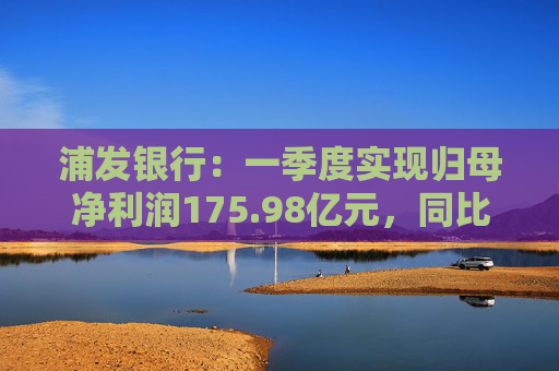 浦发银行：一季度实现归母净利润175.98亿元，同比增长1.02%  第1张