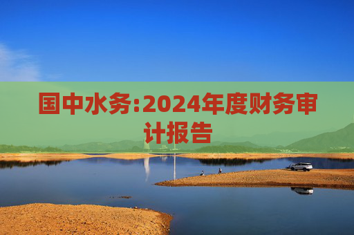 国中水务:2024年度财务审计报告
