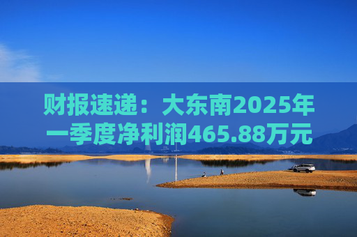 财报速递：大东南2025年一季度净利润465.88万元