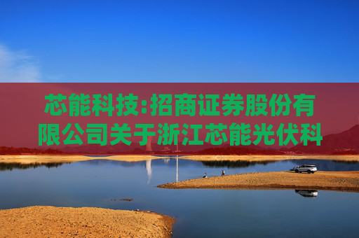 芯能科技:招商证券股份有限公司关于浙江芯能光伏科技股份有限公司2024年度持续督导报告书