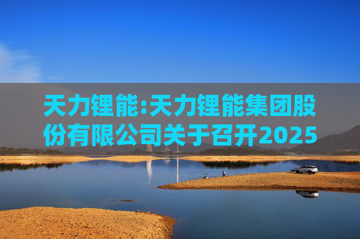 天力锂能:天力锂能集团股份有限公司关于召开2025年第二次临时股东大会的通知
