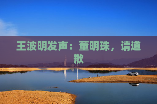 王波明发声：董明珠，请道歉