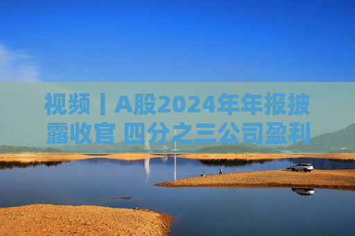 视频丨A股2024年年报披露收官 四分之三公司盈利