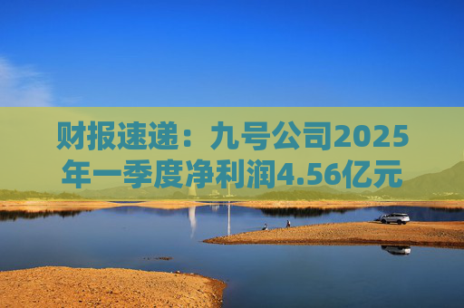 财报速递:九号公司2025年一季度净利润4.56亿元  第1张 财报速递:九号公司2025年一季度净利润4.56亿元  第1张