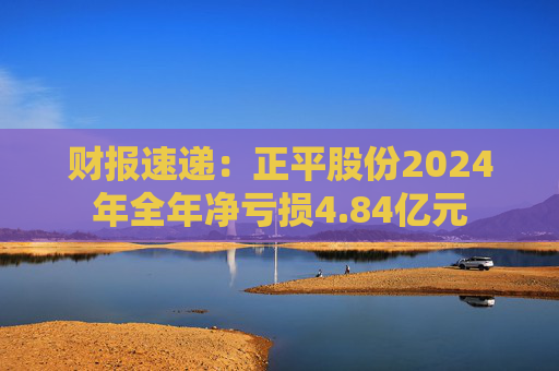 财报速递：正平股份2024年全年净亏损4.84亿元